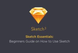 Sketch Essentials: How to Use Sketch & Design Your Own App