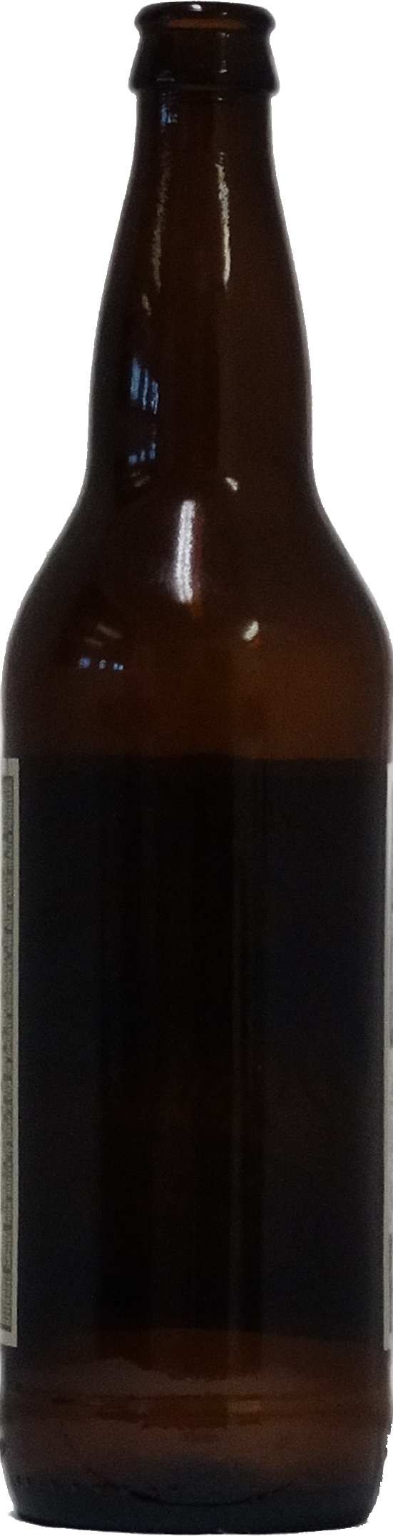 rust Gouverneur Beperkingen Create a Beer Bottle in Fusion 360 - Product Design Online