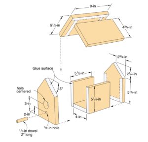 One-board Birdhouse woodworking project for beginners.